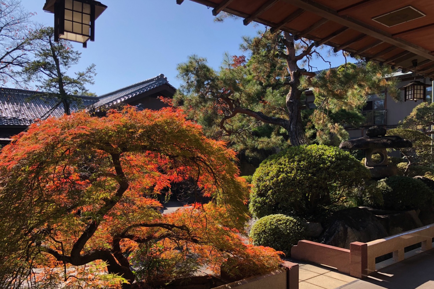 造園技術の粋を凝らした美しき日本庭園